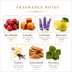 Initio Parfums Privés Wild Rush EDP - Authentic Decants - 2026 Release
