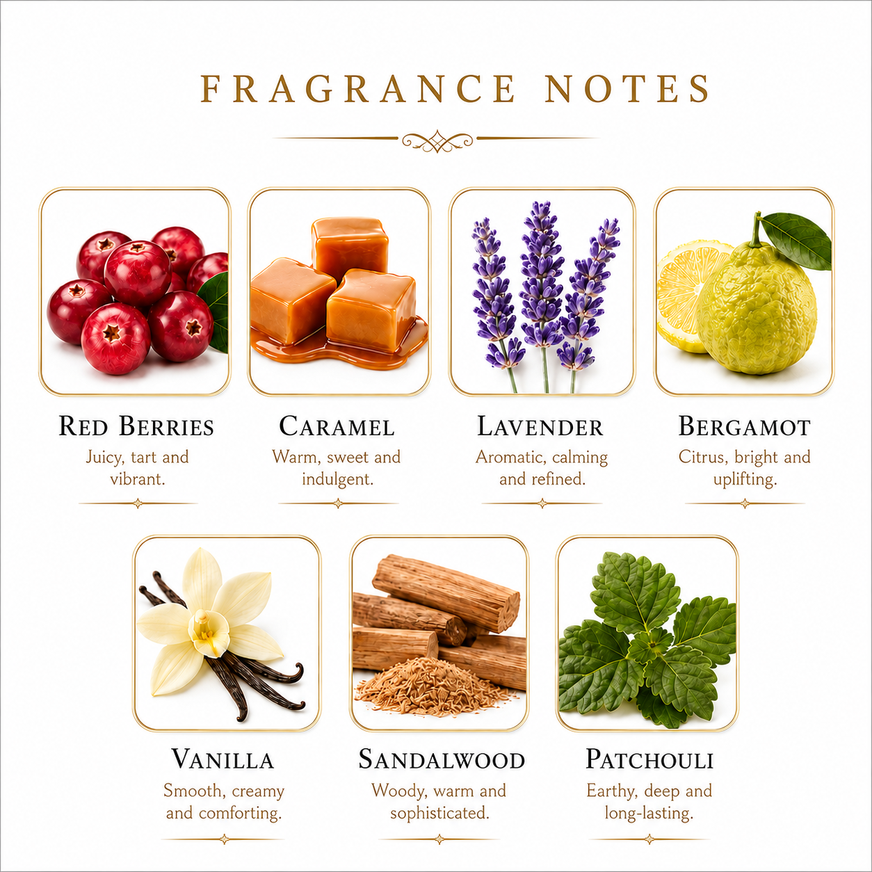 Initio Parfums Privés Wild Rush EDP - Authentic Decants - 2026 Release