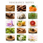 Clemenpine - Pineward Authentic Decants
